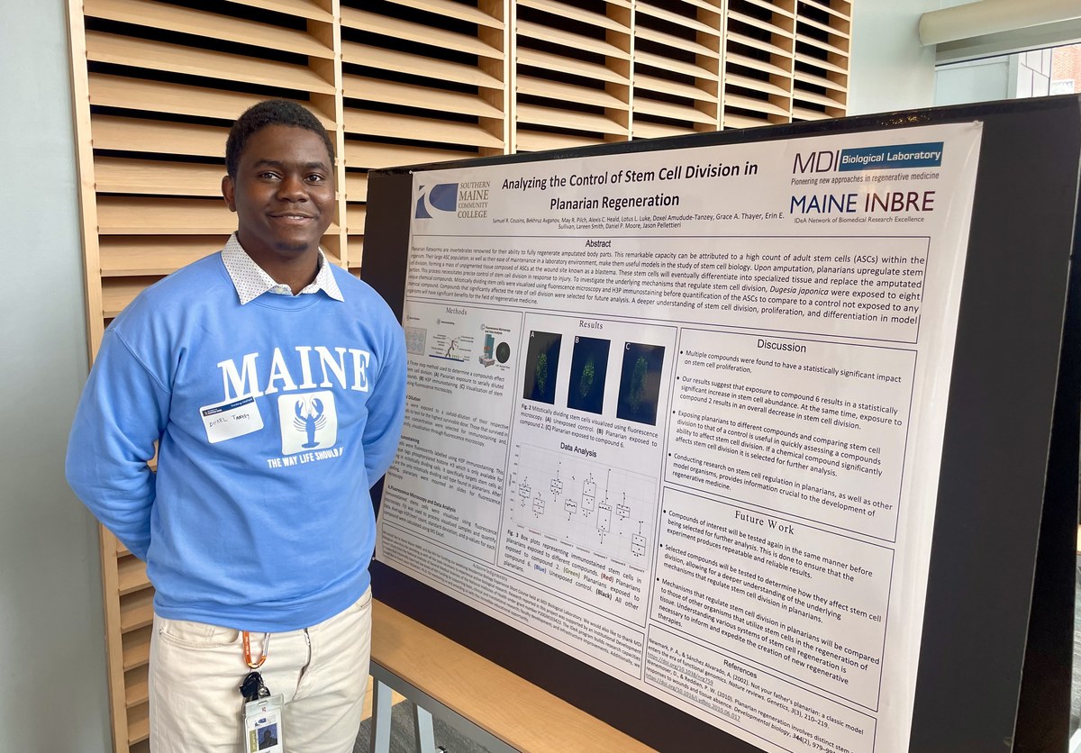 Doxel Tanzey beside the planarian regeneration poster at Southern Maine Community College